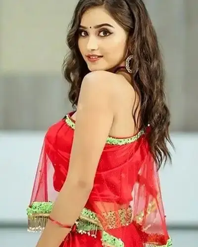 Call Girls Service Firozepur